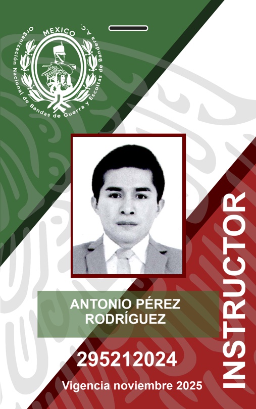 INSTRUCTOR ANTONIO PÉREZ RODRÍGUEZ