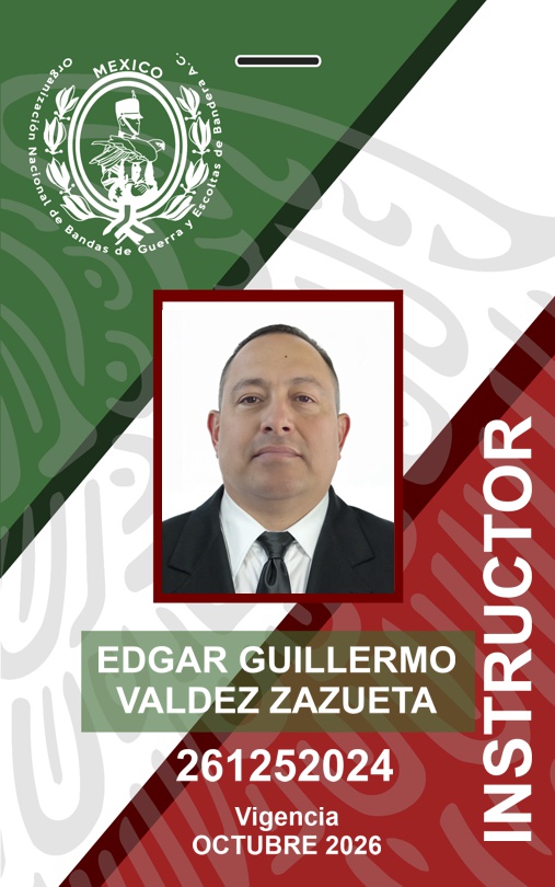 INSTRUCTOR EDGAR AURELIO LLANES TORRES