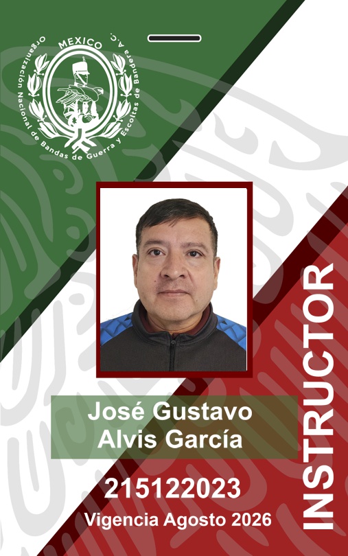 INSTRUCTOR JOSÉ GUSTAVO ALVIS GARCÍA