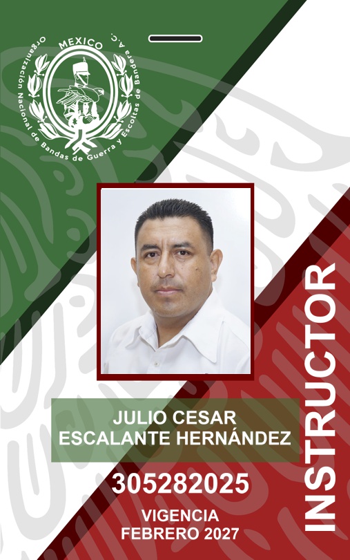 INSTRUCTOR JULIO CESAR ESCALANTE HERNÁNDEZ