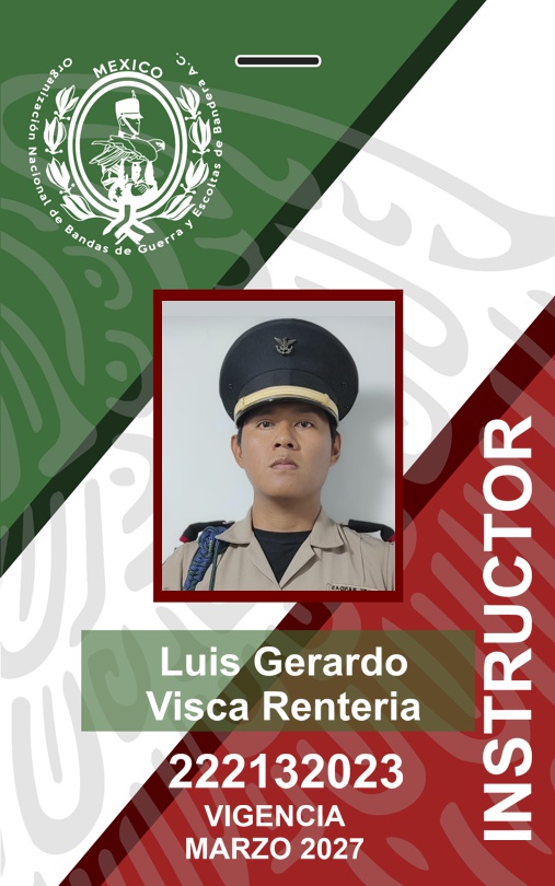 INSTRUCTOR LUIS GERARDO VISCA RENTERIA