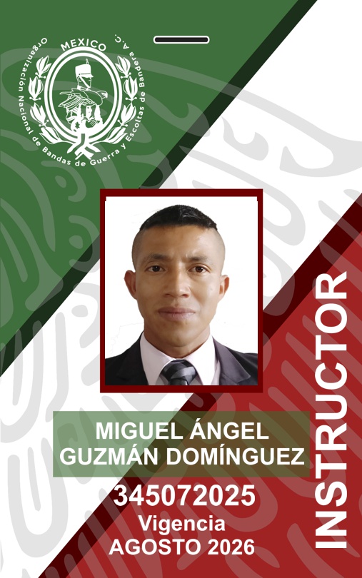 INSTRUCTOR MIGUEL ÁNGEL GUZMÁN DOMÍNGUEZ