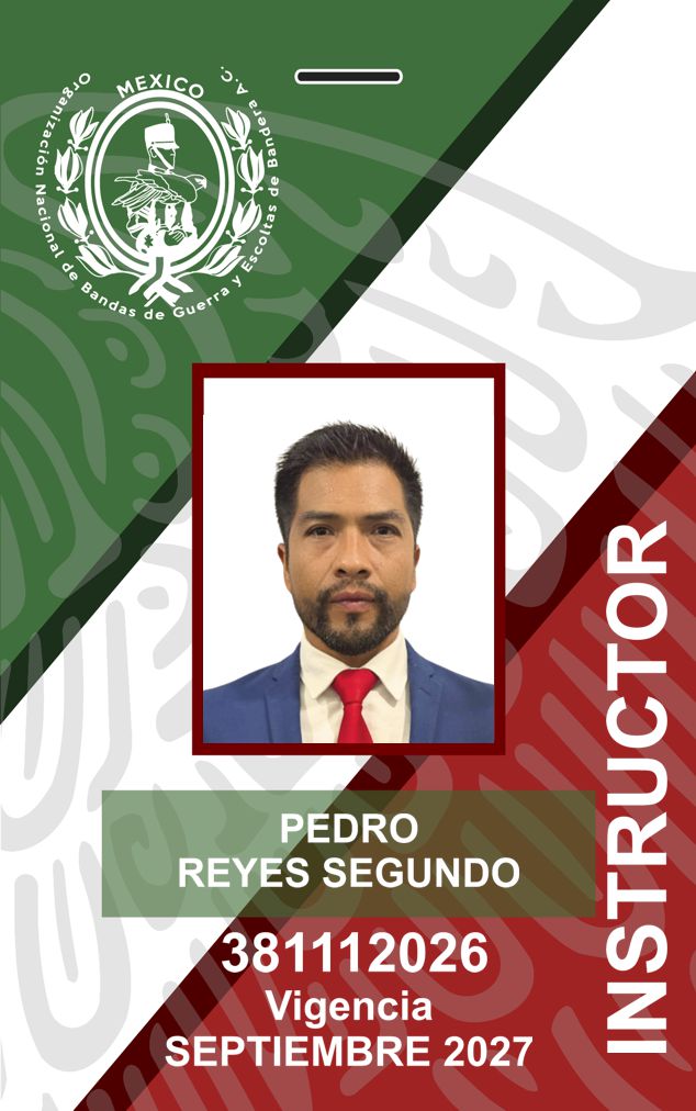 INSTRUCTOR PEDRO REYES SEGUNDO