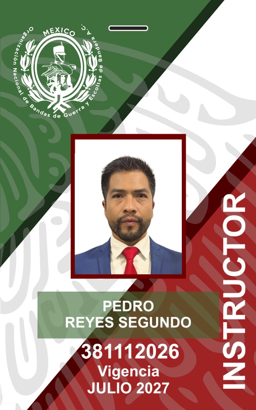 INSTRUCTOR PEDRO REYES SEGUNDO